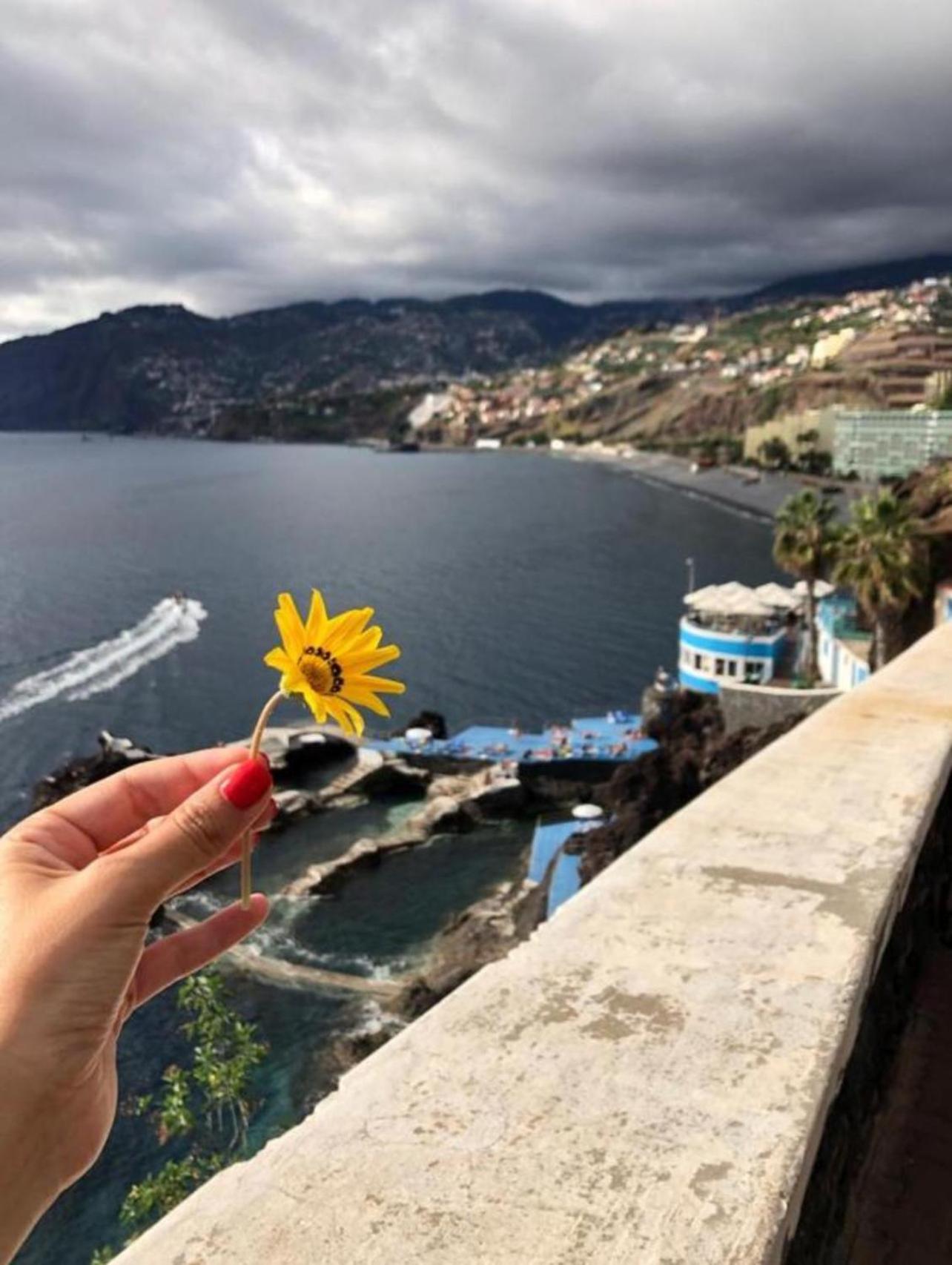 Madeira Residence Apt. 80 Funchal  Buitenkant foto